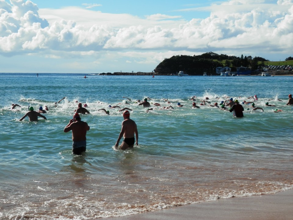 The start of the race