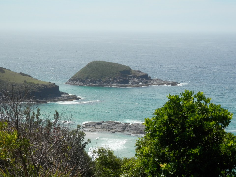 Green Island near South West Rocks in NSW