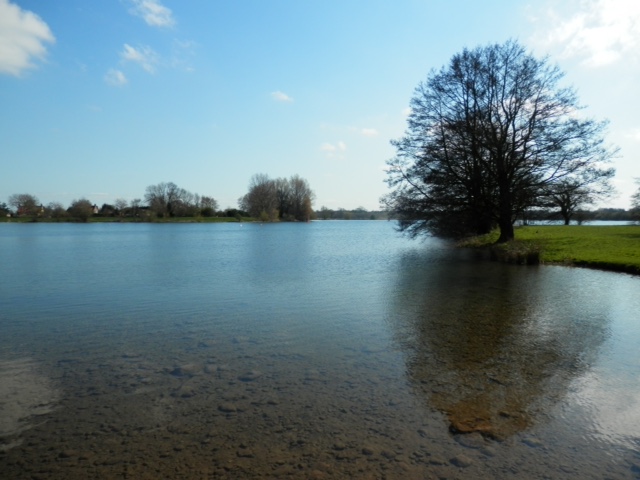 Ellerton water in North Yorkshire was a joy to swim in