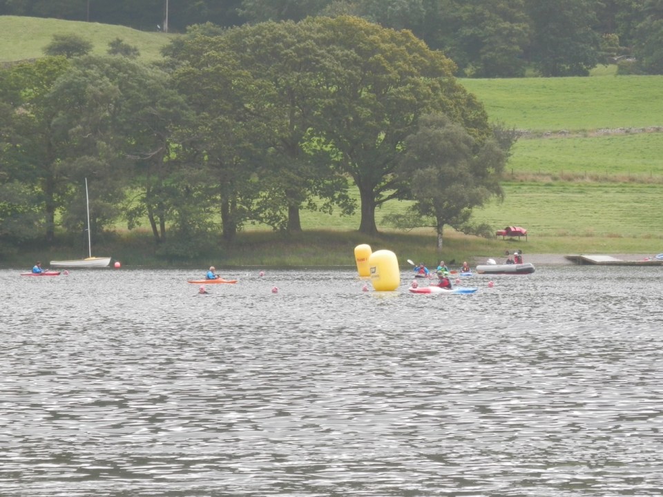 Swimmers near the end of the half-mile race