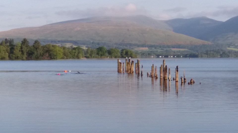 Balloch early morning in the sun