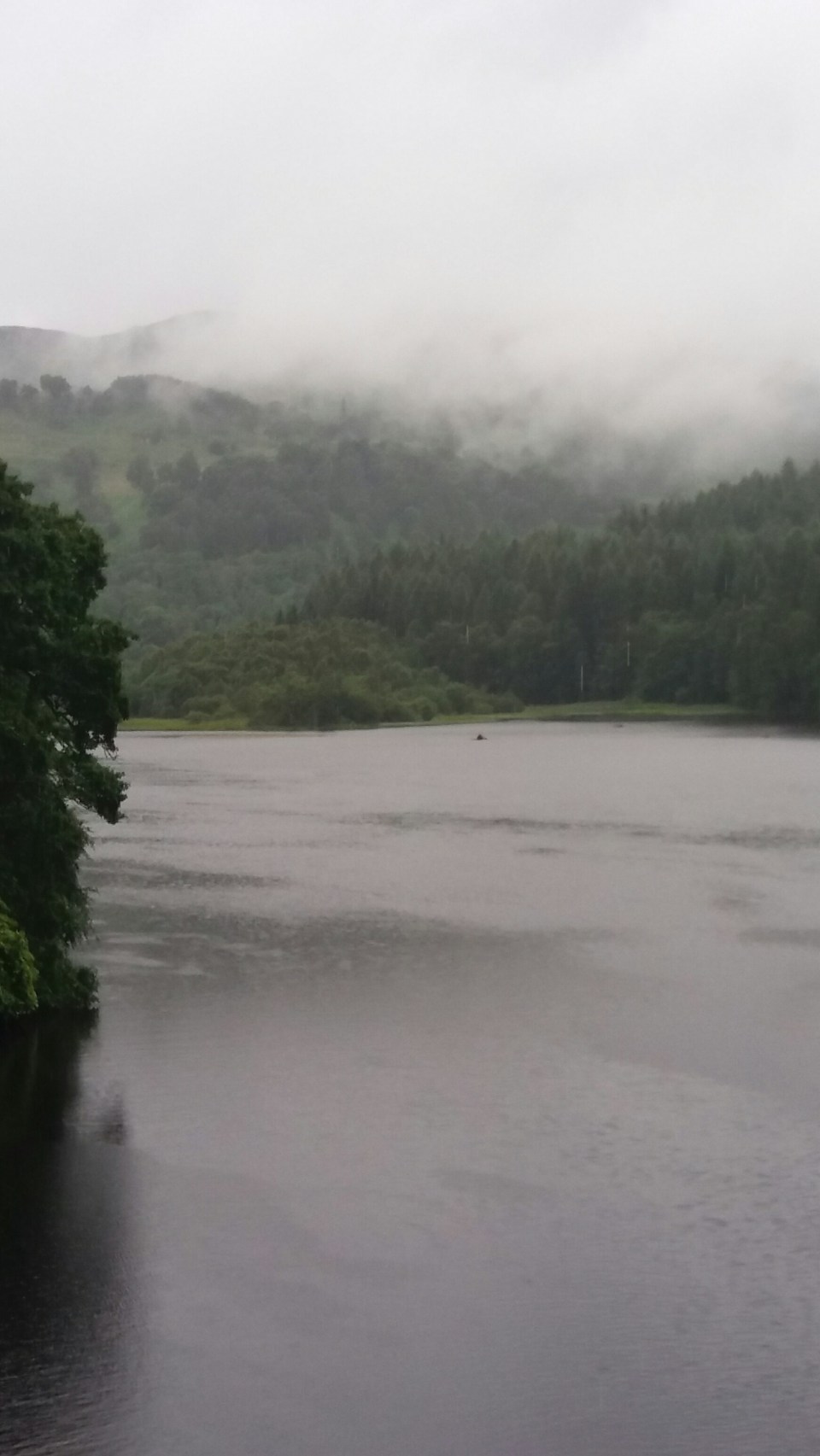 20160710_125919_resized