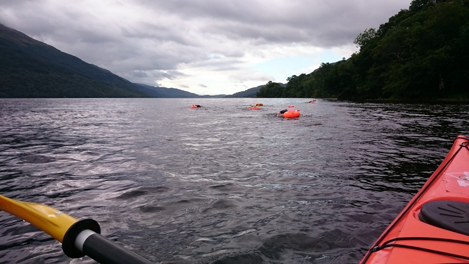 The view from the kayak of our swimming group