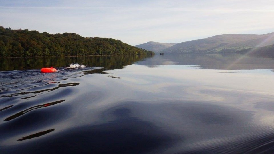 14195935_1441707549179603_4394663199268523336_o-2