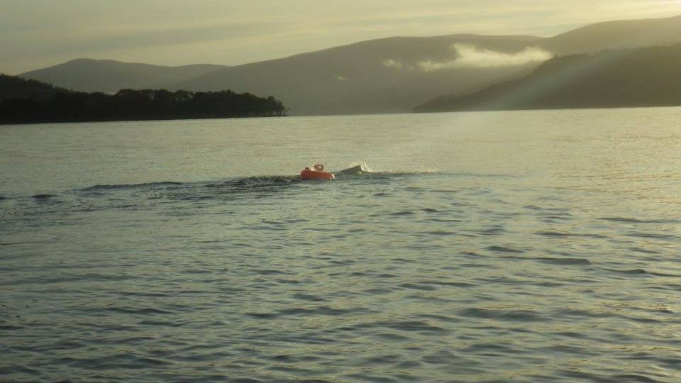 14379802_1441707265846298_7184656731021040129_o