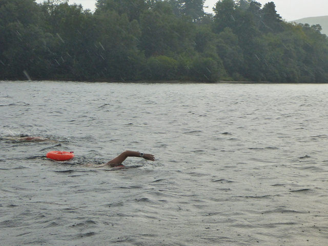 28817469517_2b3e1094a2_z