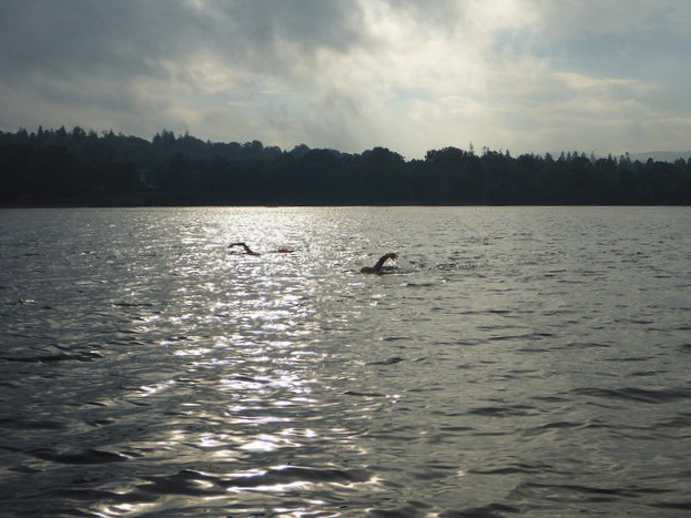 28817539267_9bc594ba4f_z