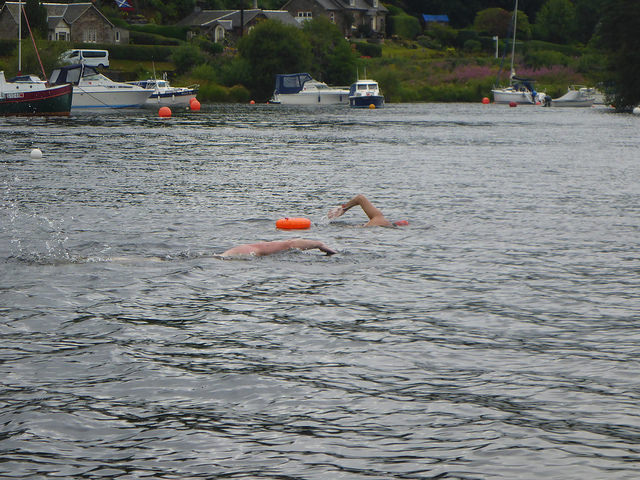 42991282524_b7c5c87be2_z